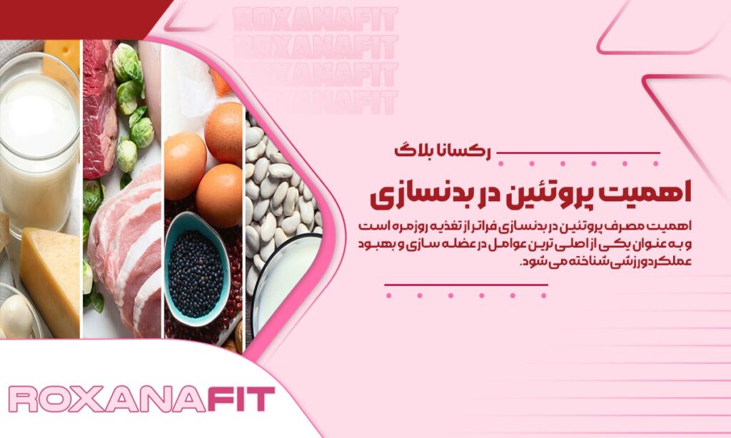 مصرف پروتئین در بدنسازی و نحوه تأمین آن